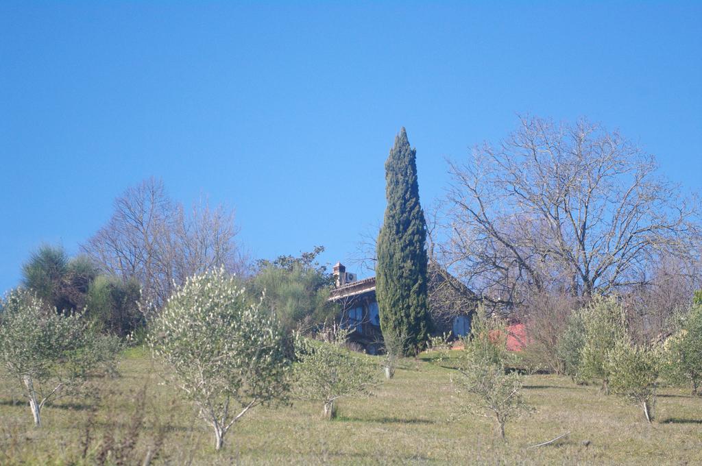 La Casa Sopra Le Nuvole Villa Medesano Exteriör bild