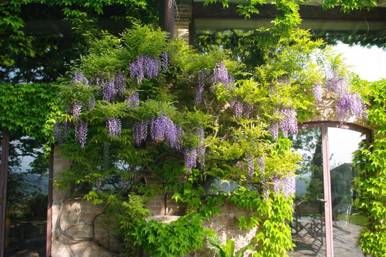 La Casa Sopra Le Nuvole Villa Medesano Exteriör bild